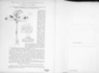 Gloeosporium orbiculare image